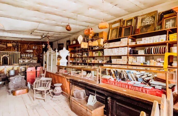 The History of Antique Stores: How They Evolved Over Time