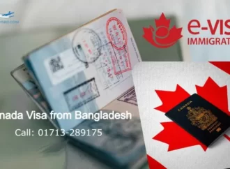 Simplified Access A Comprehensive Guide to Canada Visa Applications Online