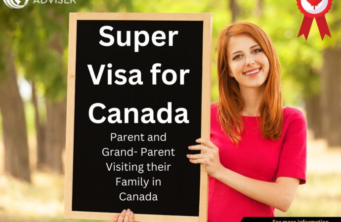 Navigating the Indian Visa Process A Comprehensive Guide for Switzerland Passport Holders and Canadian Citizens
