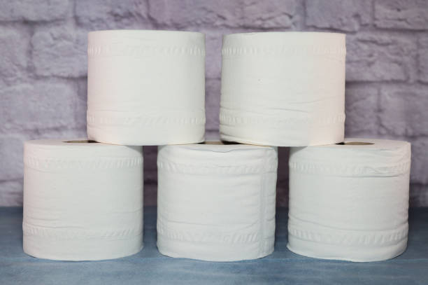 Stock Up on Savings: All About Bulk Toilet Paper